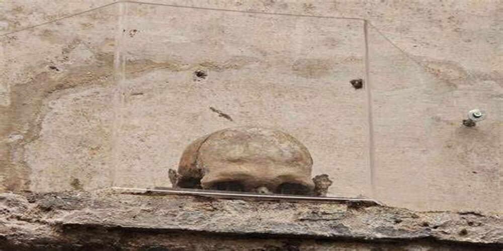 The legend of the skull with ears The legend of the skull with ears