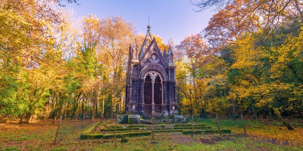 Boschi in Italia: Sasseto Torre Alfina