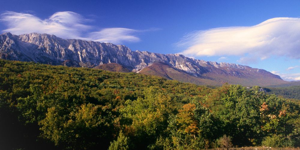 Boschi in Italia: Parco Regionale Sirente Velino