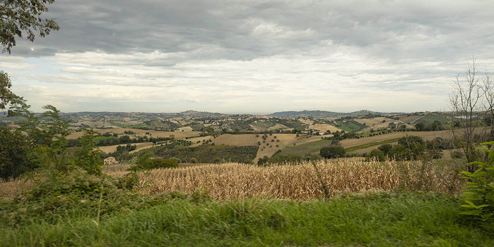 Veduta dei dintorni di Torre San Patrizio Veduta dei dintorni di Torre San Patrizio