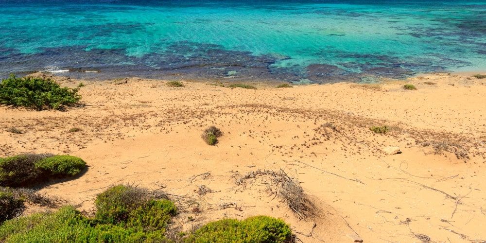 Campomarino Lido – A relaxing spot among the most beautiful beaches in Italy Campomarino Lido – A relaxing spot among the most beautiful beaches in Italy