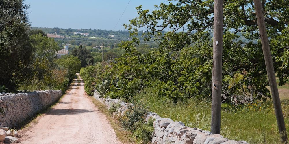 How to Organize a Road Trip in Italy How to Organize a Road Trip in Italy
