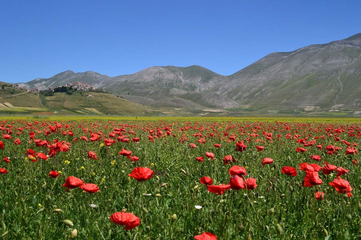 Cammino di san Benedetto - Italia centrale