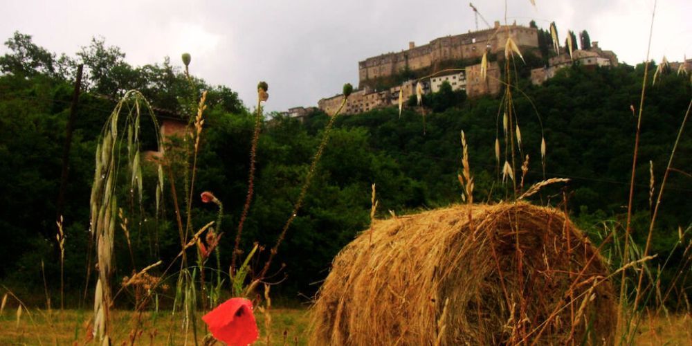 Rocca Sinibalda - Cammino di S. Benedetto Rocca Sinibalda - Cammino di S. Benedetto