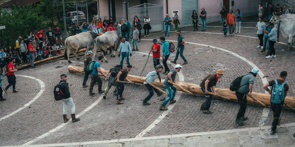 Museum of Shepherd Traditions, Castelsaraceno: Festa della 'Ndenna