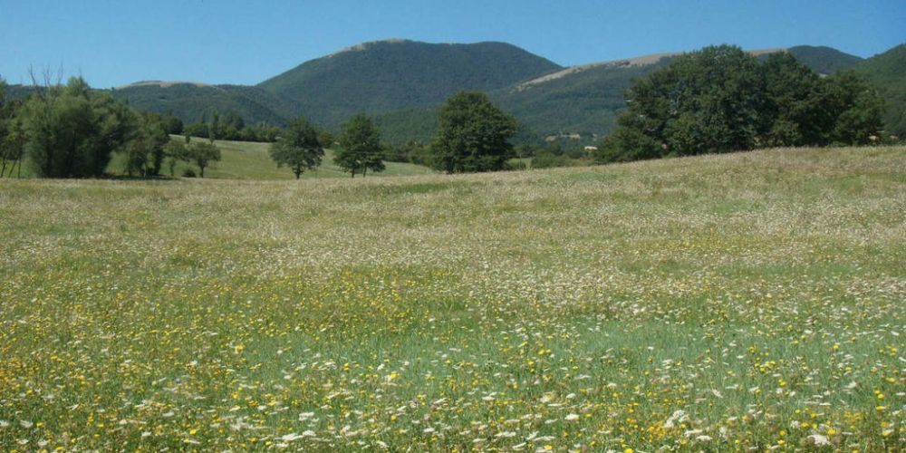 Monteleone - Cammino di S. Benedetto