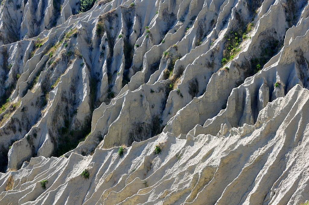 Ma cosa sono i Calanchi?