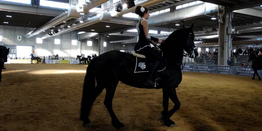 L’offerta merceologica e gli eventi 