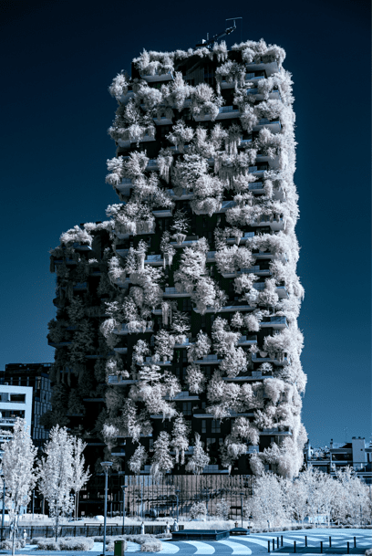 attrazioni imperdibili milano, Bosco verticale