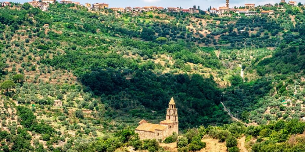 The Surprising Ways Entrepreneurs are Turning Nature into a Creative Laboratory