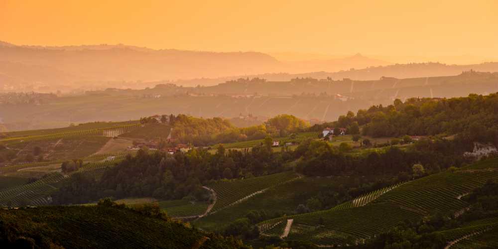 I Mercatini di Natale più belli della Città Verde del Piemonte I Mercatini di Natale più belli della Città Verde del Piemonte