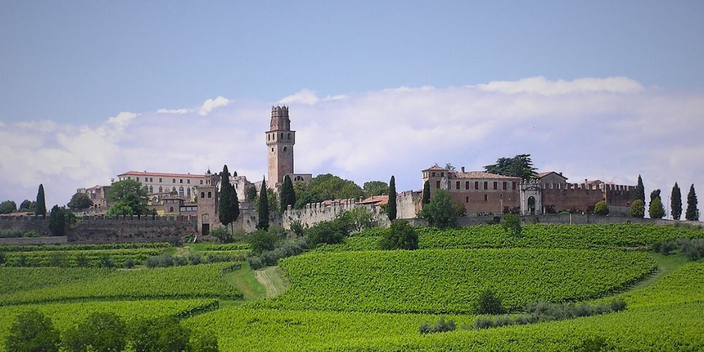 Susegana, castello di San Salvatore e di Collalto Susegana, castello di San Salvatore e di Collalto