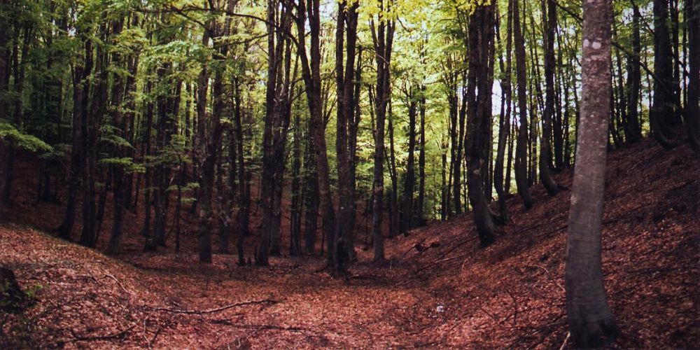 Best places to visit in Italy in October and November: Spezzano della Sila