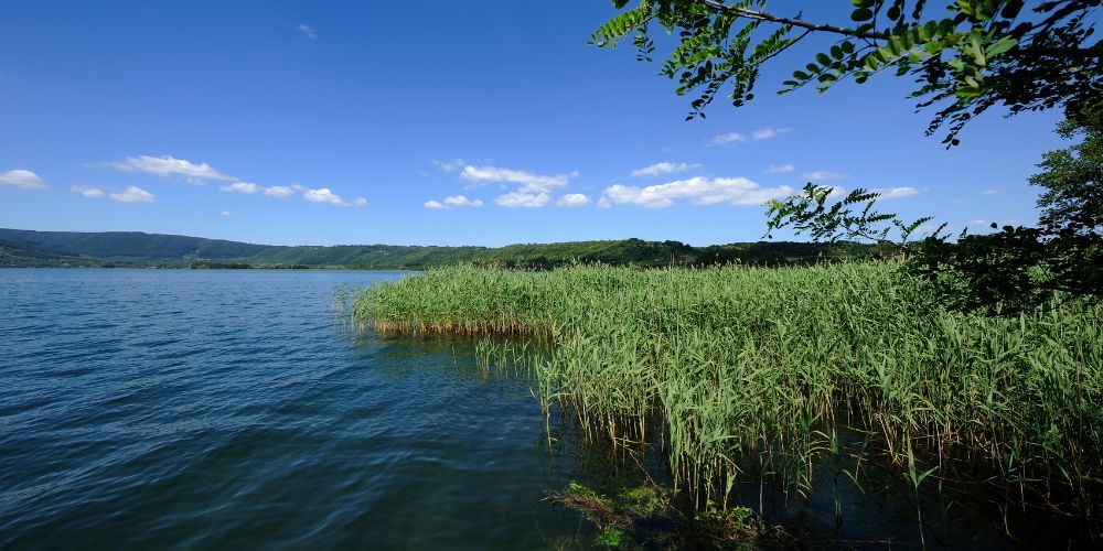 vico lake vico lake