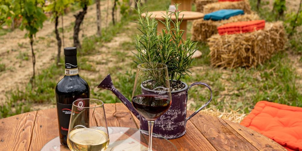 Azienda Vitivinicola Marco Botto, the top 10 best wineries in Piedmont 