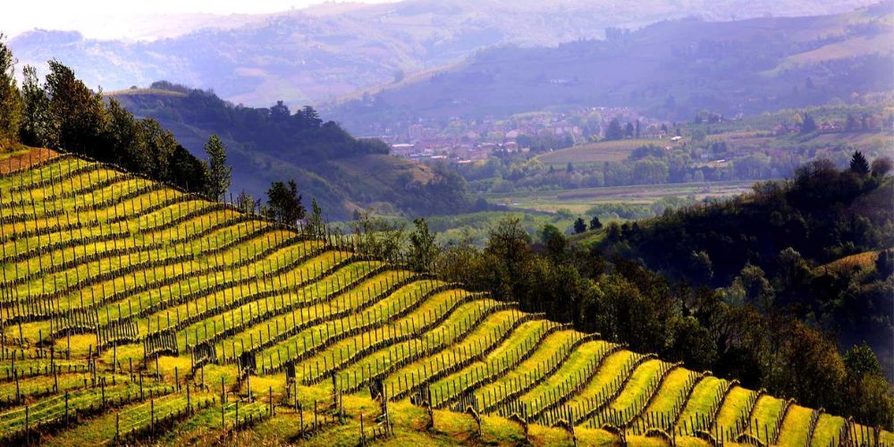 Ceretto, the top 10 best winery in Piedmont 
