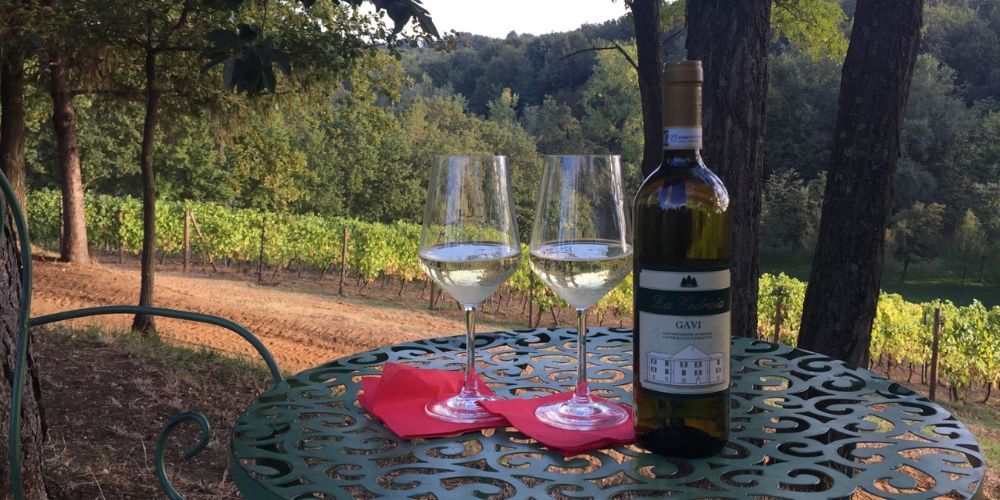 La Cedraia, the top 10 best wineries in Piedmont