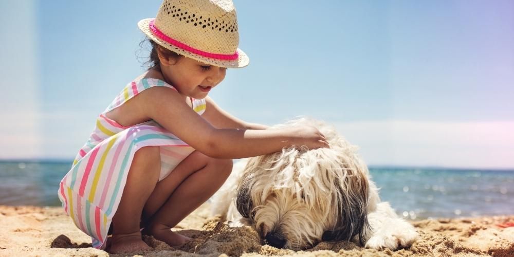 Sardinia a is a perfect pet-friendly destination in Italy 