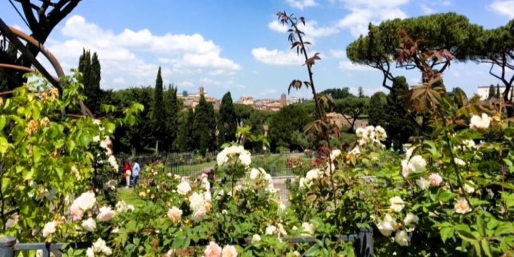 Municipal rose garden