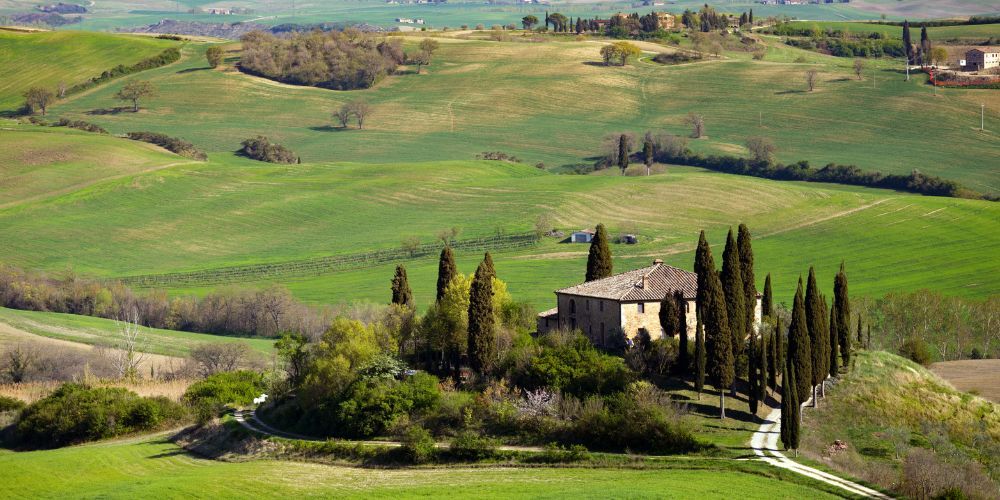 cosa fare due giorni a Firenze, colline del Chianti