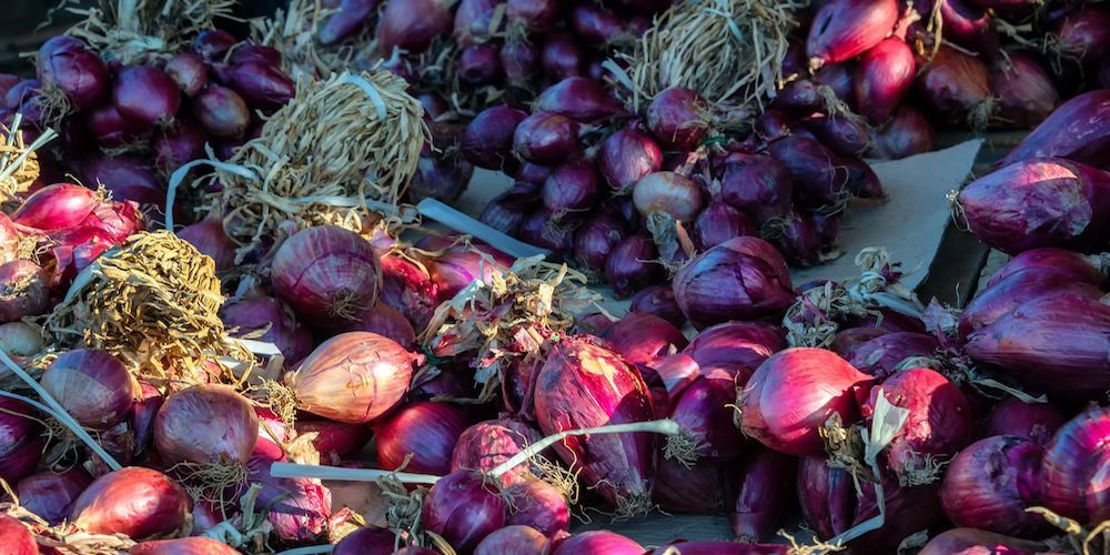 Red onion of Tropea