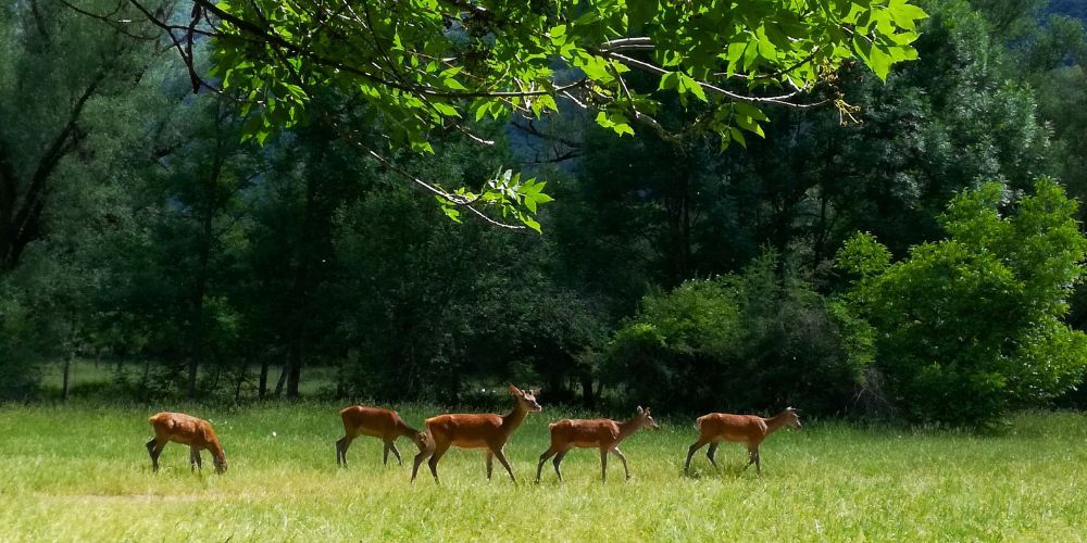 What to do in Villetta Barrea