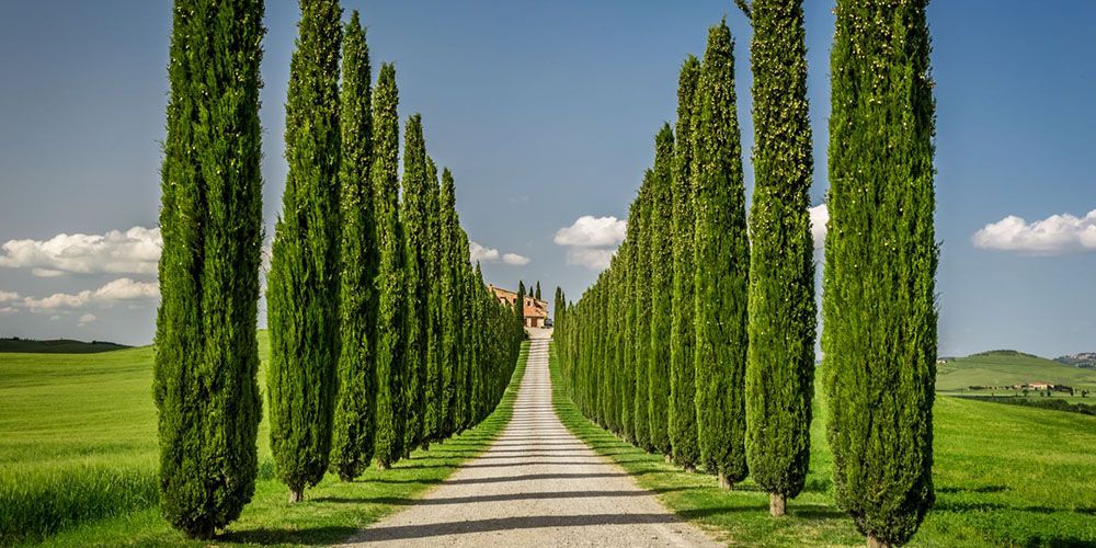 Cycling holidays in Tuscany, 5 fabulous bike tours to discover Cycling holidays in Tuscany, 5 fabulous bike tours to discover