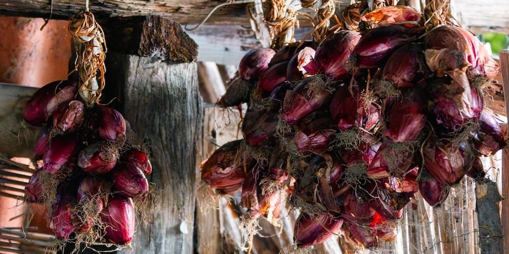 Tropea, tradizione gastronomica: i prodotti locali