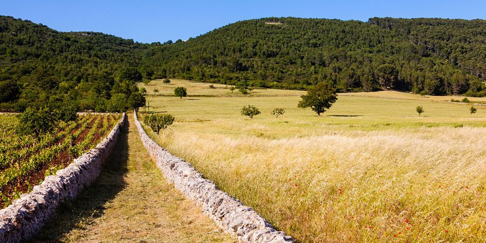 From Tuscany to Puglia how to choose the right Agriturismo From Tuscany to Puglia how to choose the right Agriturismo