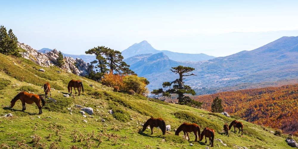 Serra di Crispo, a mountain peak near Oriolo Serra di Crispo, a mountain peak near Oriolo