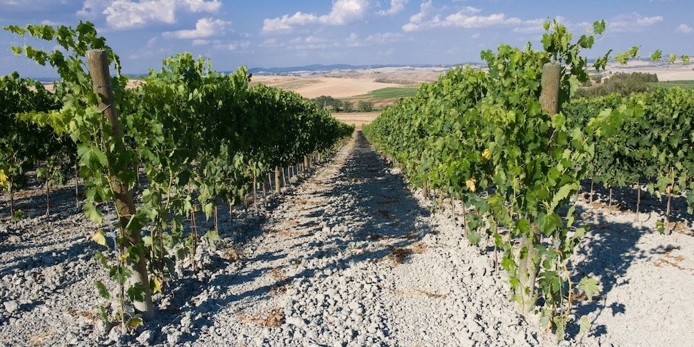 Visita la Via Francigena: l'Italia da assaporare