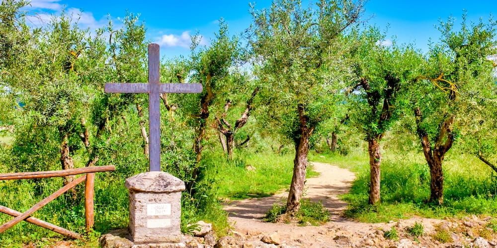 Visita la Via Francigena: itinerario per lo spirito