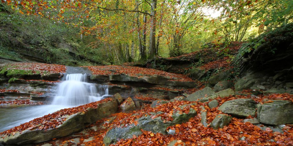 Subbiano - Casentino
