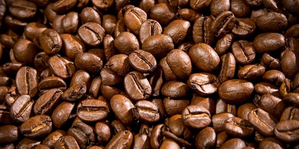5. Coffee Fest 5. Coffee Fest