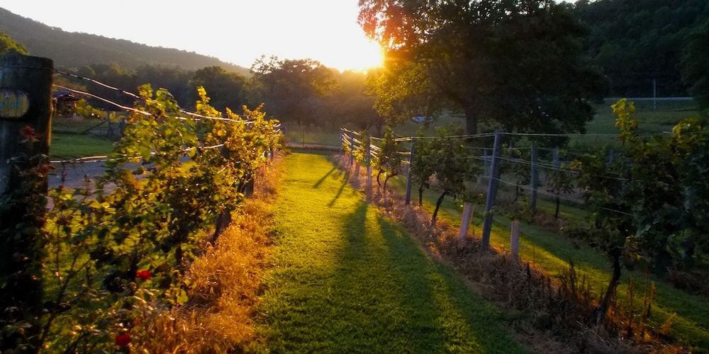 Valdobbiadene: exclusive experiences