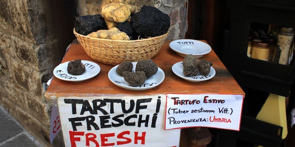 5 giorni slow tra la Contessa e il Montefeltro: tartufi 5 giorni slow tra la Contessa e il Montefeltro: tartufi
