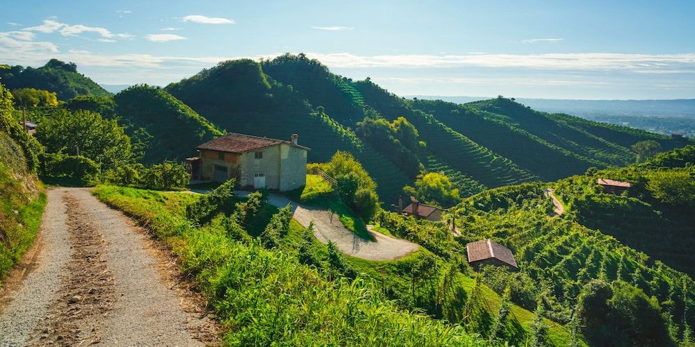 Valdobbiadene: the territory