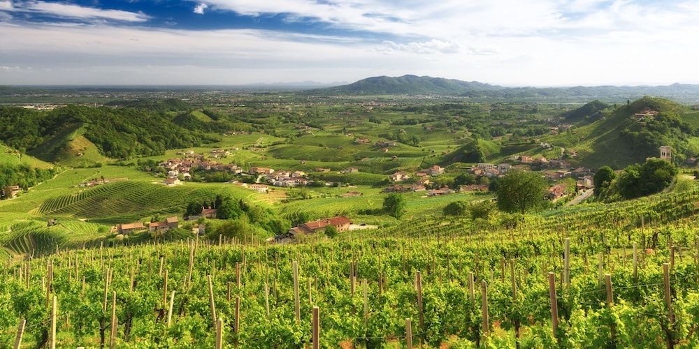 Valdobbiadene in spring