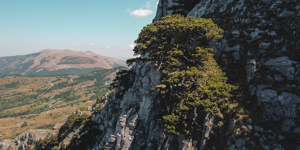 Castelsaraceno: trails