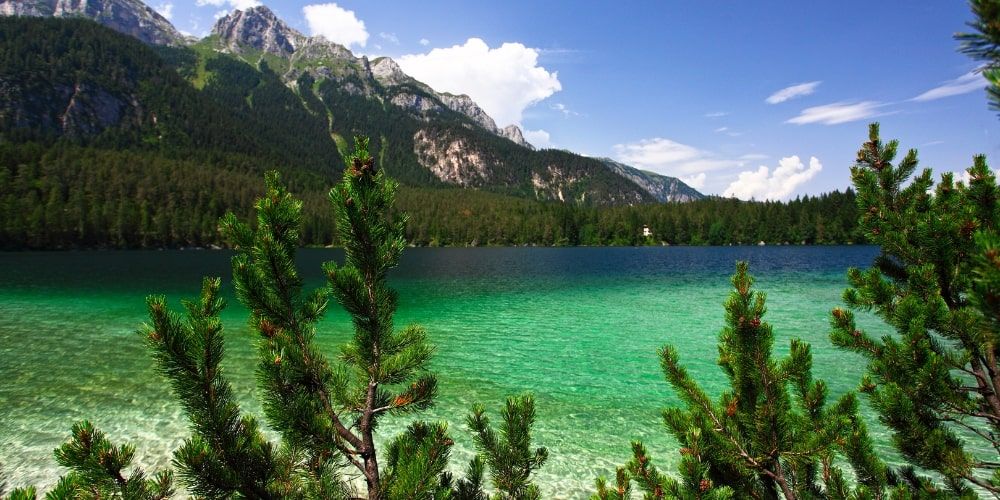 Natura incontaminata e acque cristalline per il nuoto fuori dai soliti itinerari in Italia Natura incontaminata e acque cristalline per il nuoto fuori dai soliti itinerari in Italia