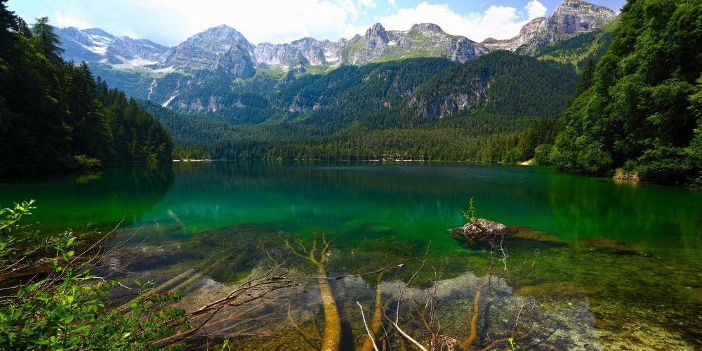 Riflessi verdi tra le Dolomiti al Lago di Tovel Riflessi verdi tra le Dolomiti al Lago di Tovel