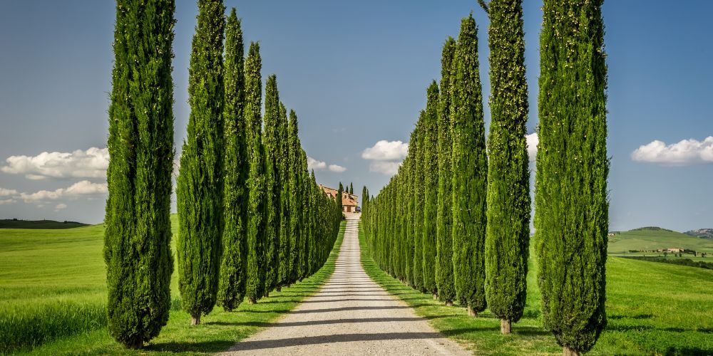 come guidare in italia toscana