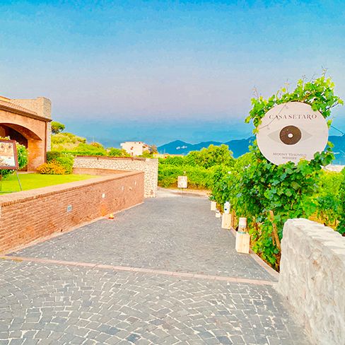 Casa Setaro