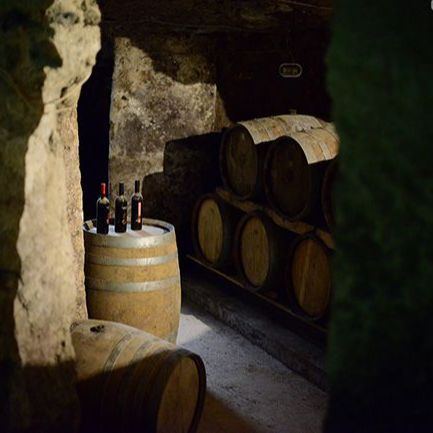 Azienda Vinicola Fuocomuorto