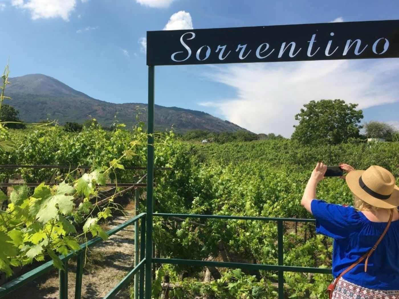 Tenuta Sorrentino Winery