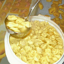 Agriturismo le rondini