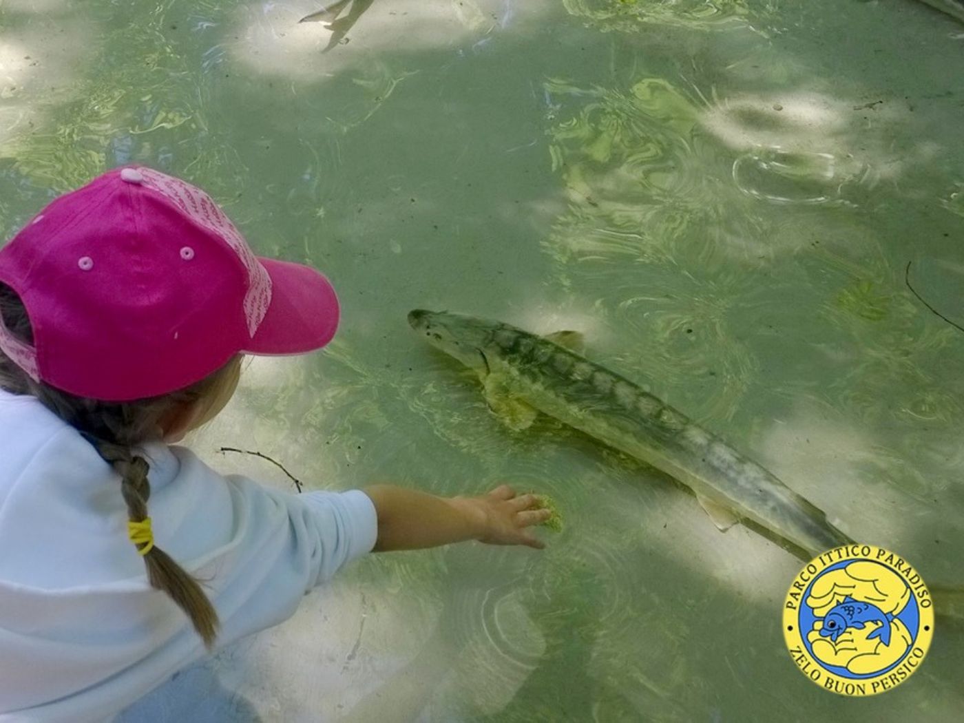 Parco Ittico Paradiso