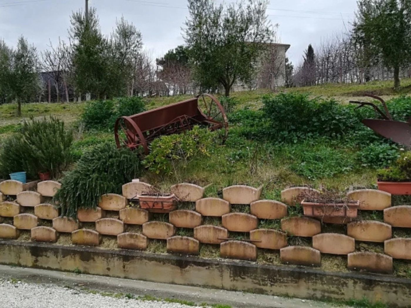 Azienda Agricola Marzialetti