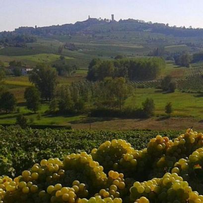 Le Cantine Daffara & Grasso