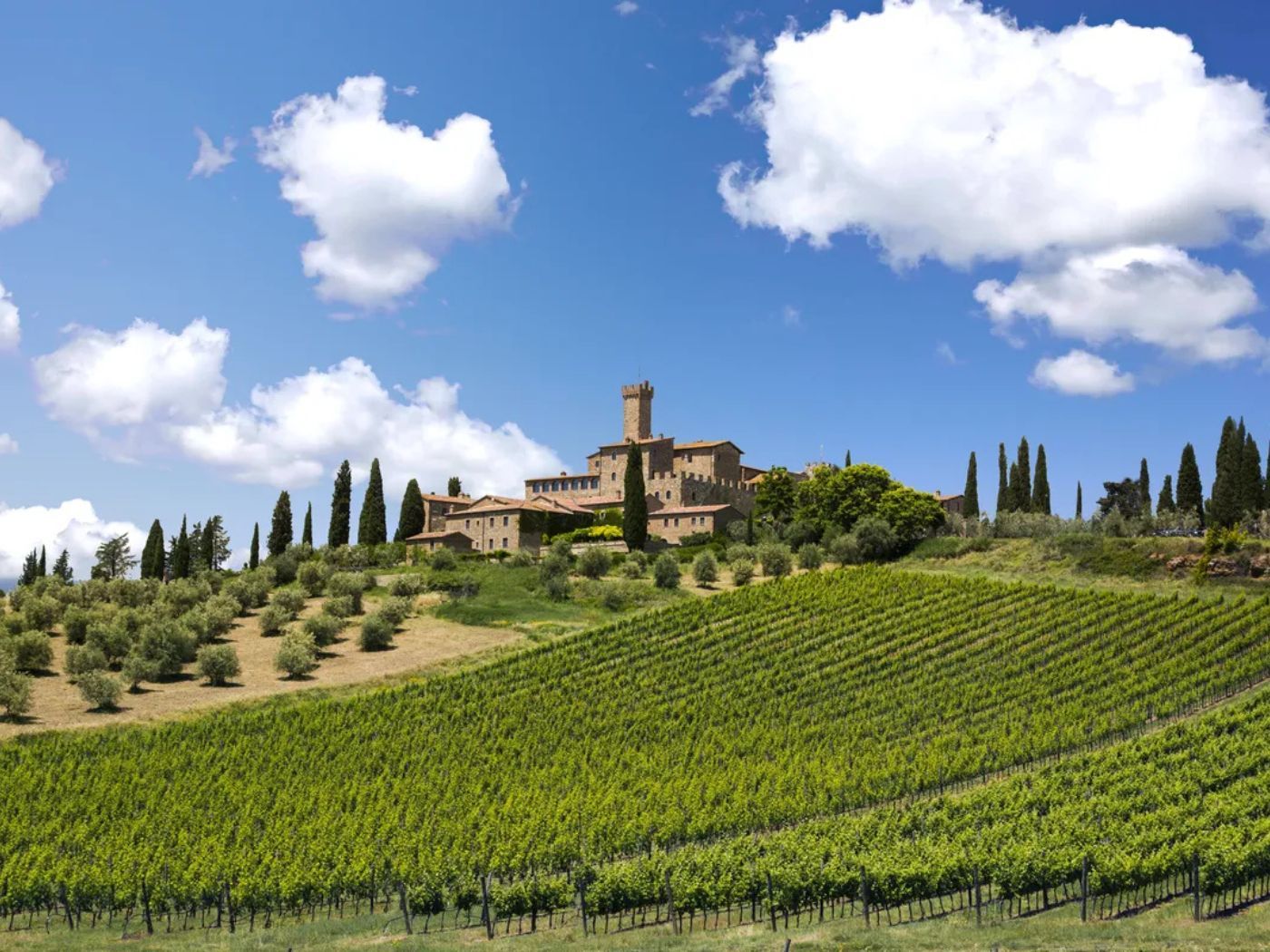 Banfi